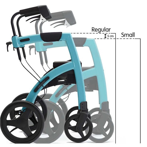 Rollz Motion Small 